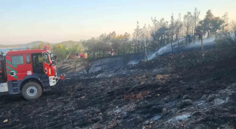 Cunda Adası’ndaki orman yangını büyümeden söndürüldü