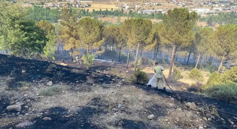 Dursunbey'de Orman Yangını Kontrol Altında