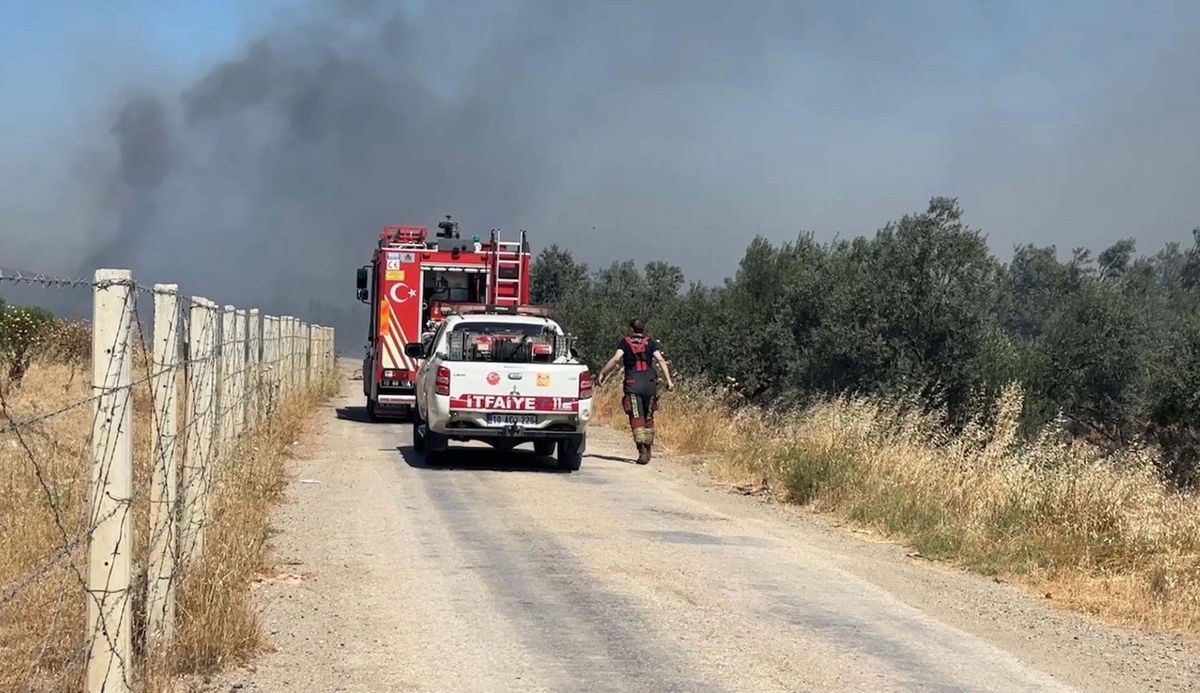Edremit'te eski çöp depolama alanında çıkan yangın zeytinliklere sıçradı