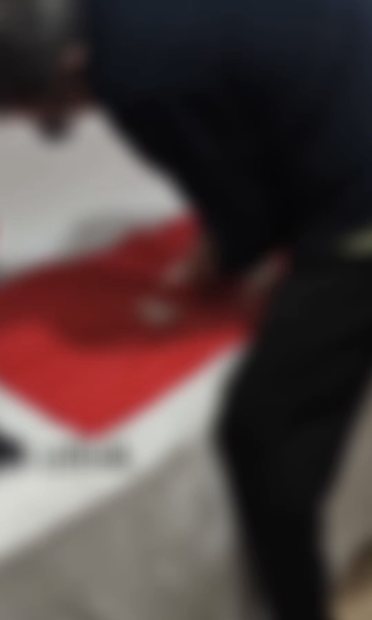 Edremit’te Türk bayrağına ve Atatürk’e hakaret eden öğretmen gözaltına alındı
